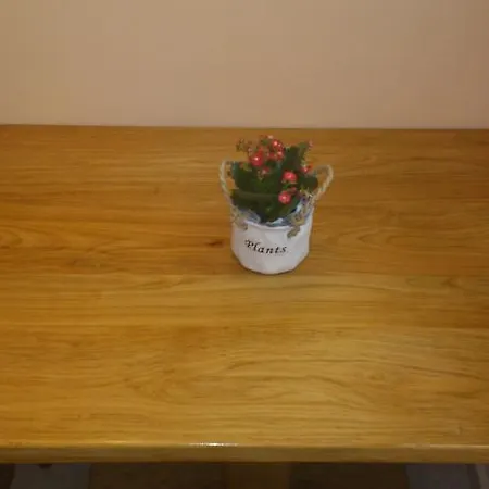게스트하우스 Garden House 마툴지