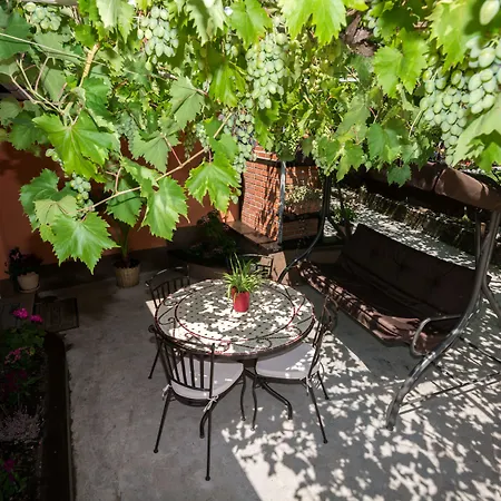 게스트하우스 Garden House 3*