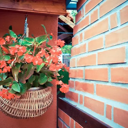 Garden House 마툴지